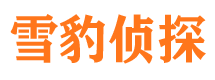 平桥侦探公司